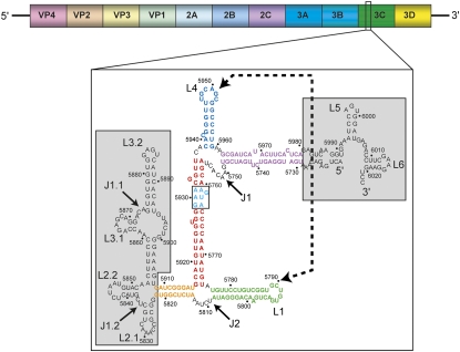 FIGURE 1.