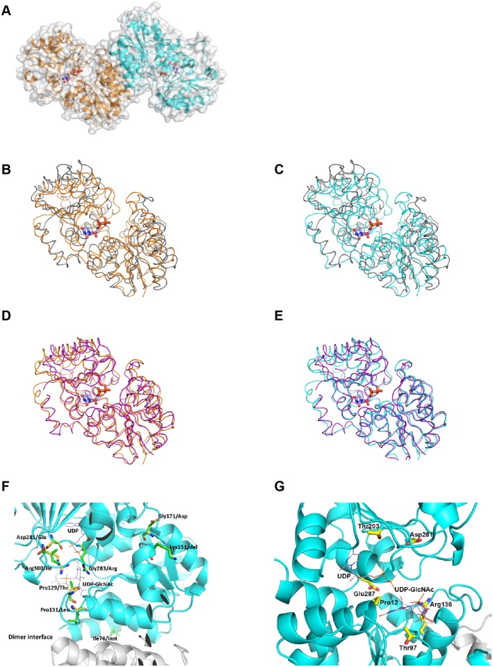 Fig 6