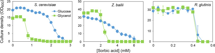 FIG 2