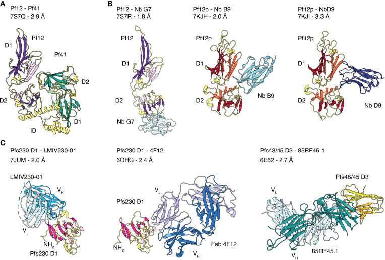 Figure 3