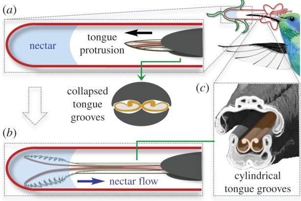 Figure 1.