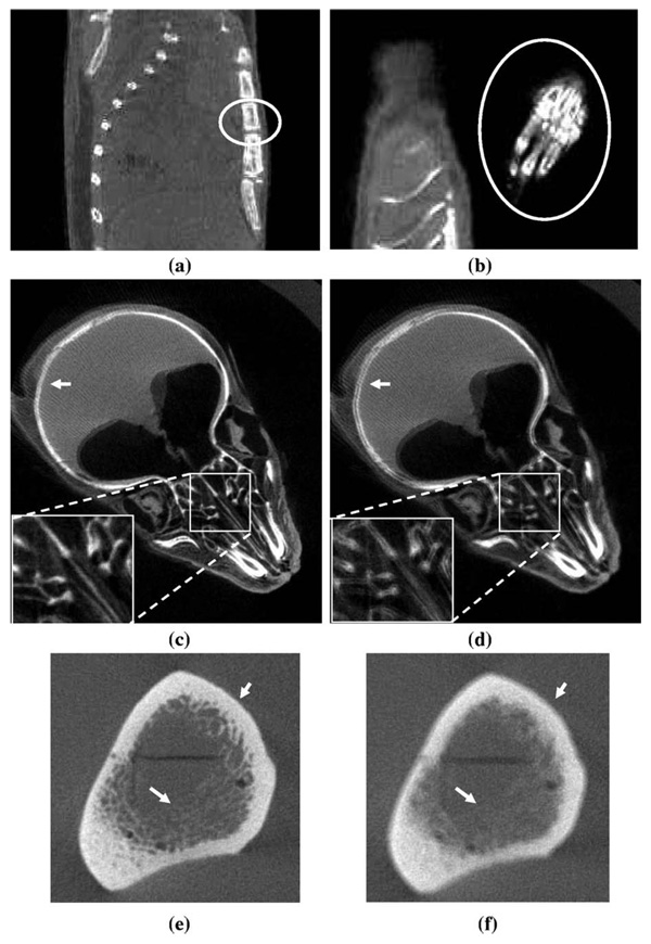 FIG 12