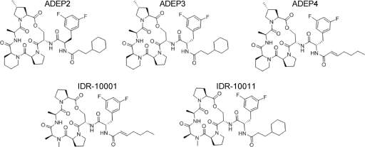 Fig 2