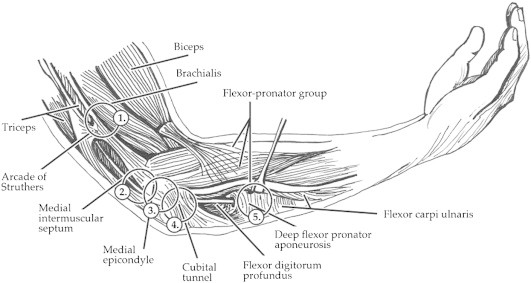 Fig 5