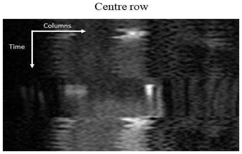 Fig. 12