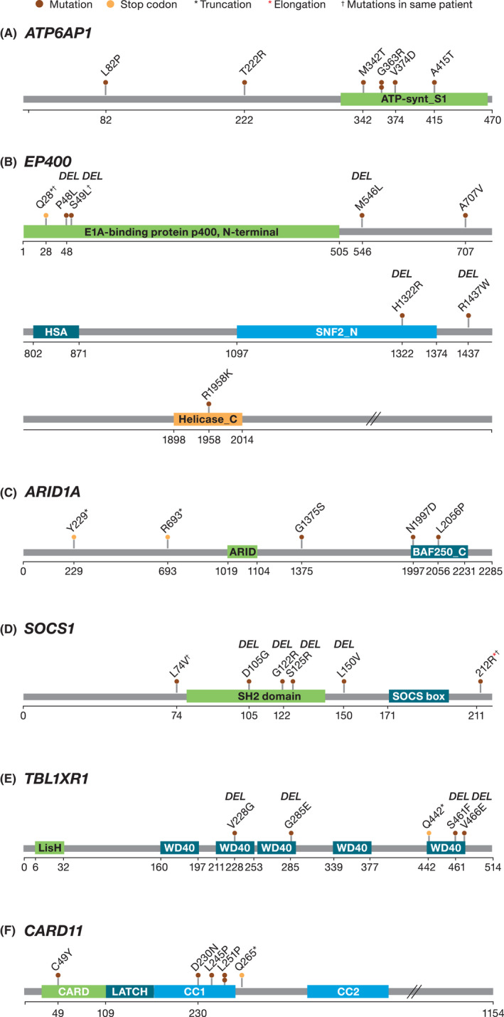 FIGURE 4