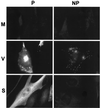 FIG. 11