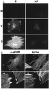 FIG. 6