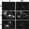 FIG. 9