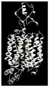 Figure 8