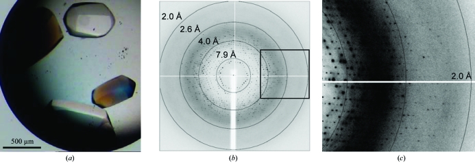 Figure 2