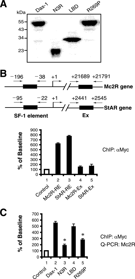 FIG. 6.