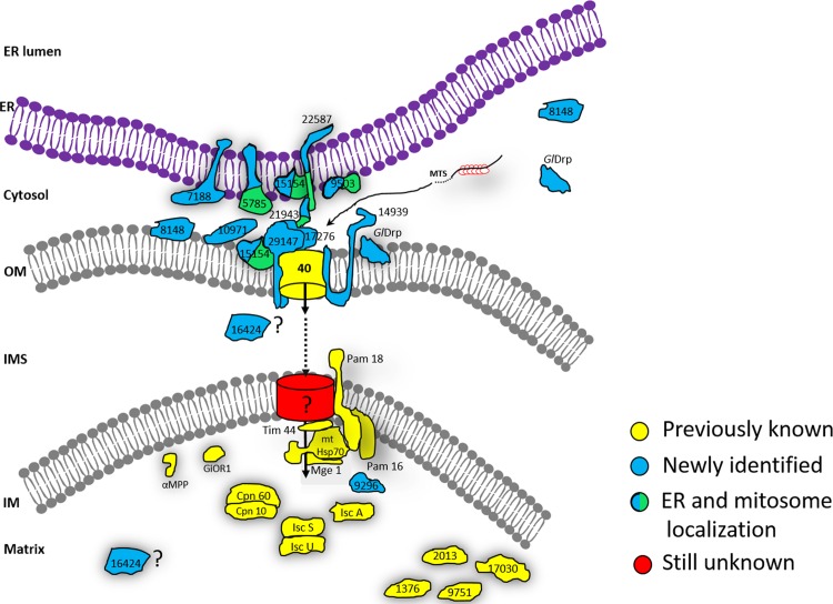 Fig 8