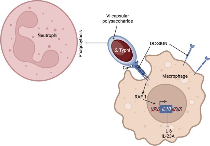 FIG 6