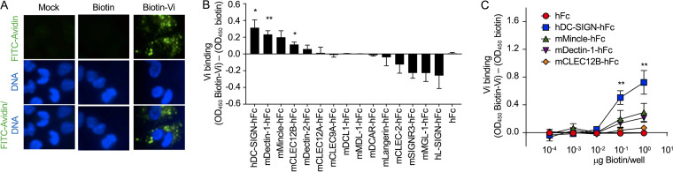 FIG 2