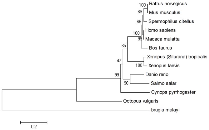 Figure 6