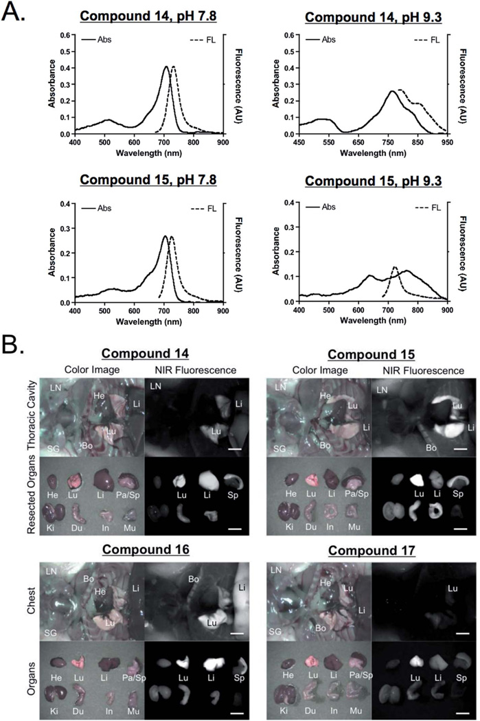 Fig. 7