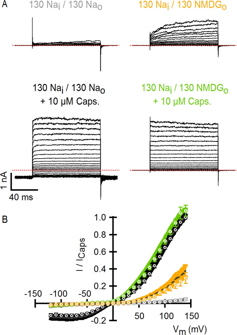 Figure 1—figure supplement 3.