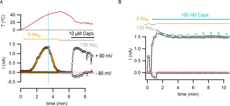 Figure 5—figure supplement 1.