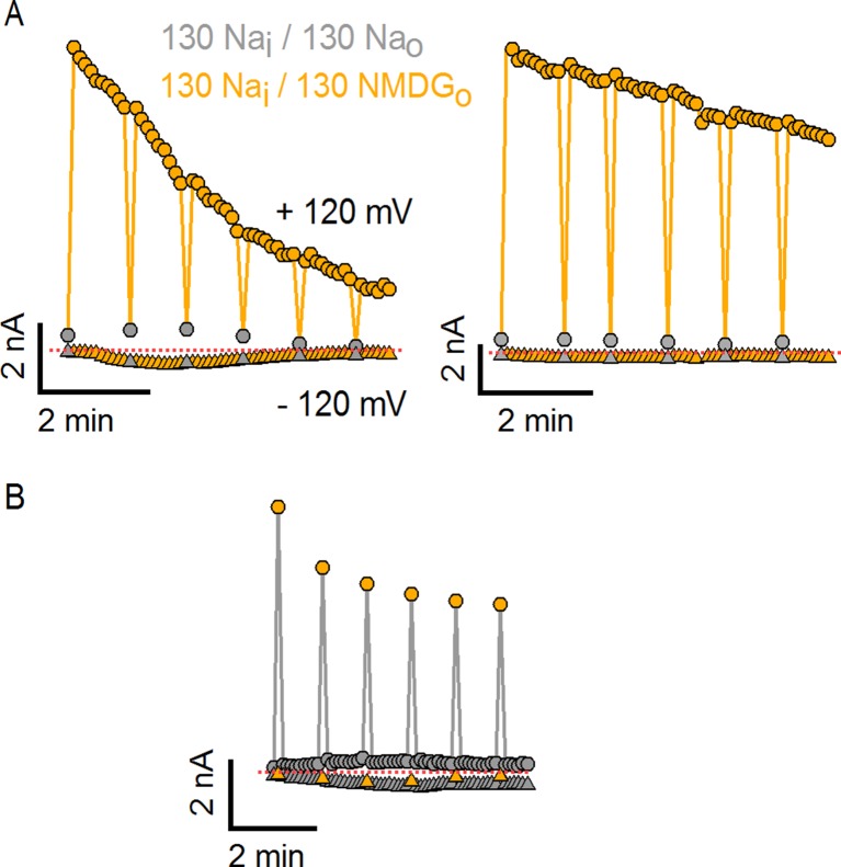 Figure 1—figure supplement 1.