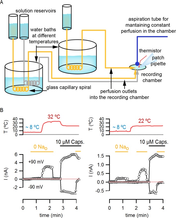 Figure 5—figure supplement 3.