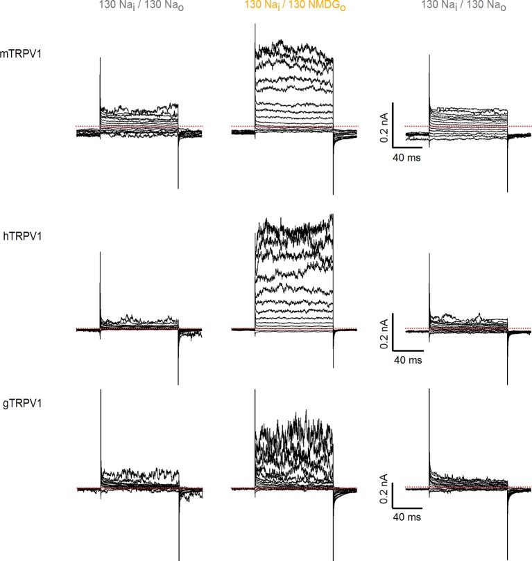 Figure 1—figure supplement 2.