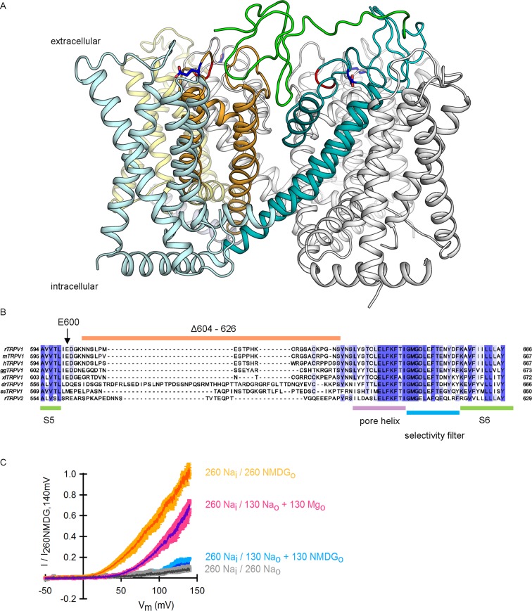 Figure 3—figure supplement 1.