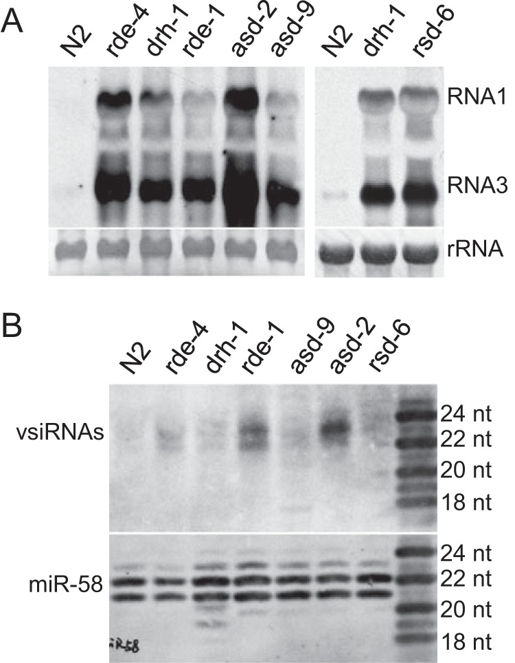 FIG 10