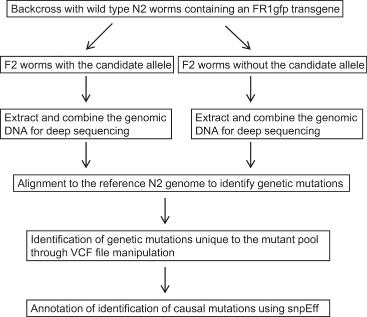 FIG 7