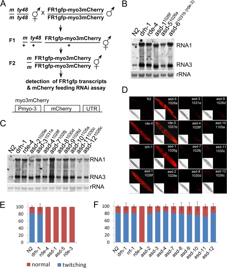 FIG 6