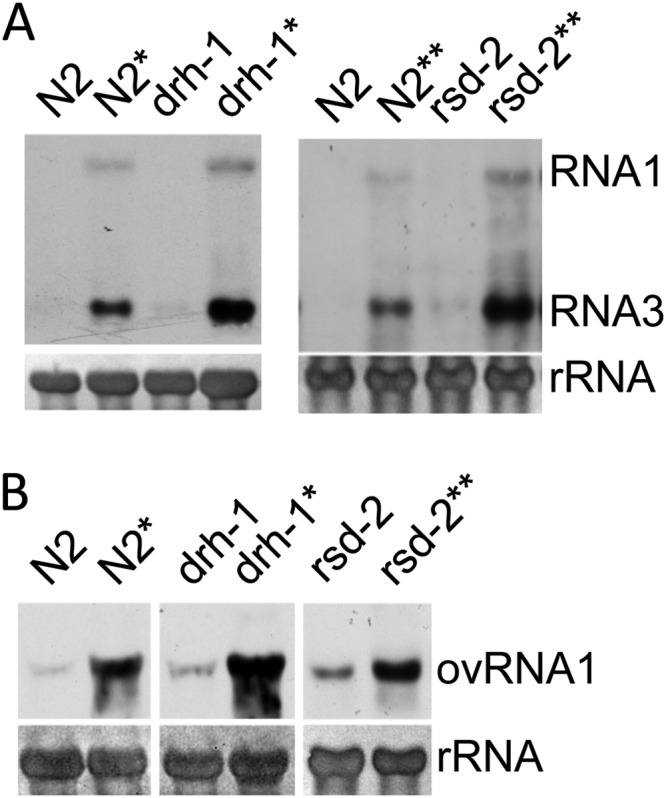 FIG 3