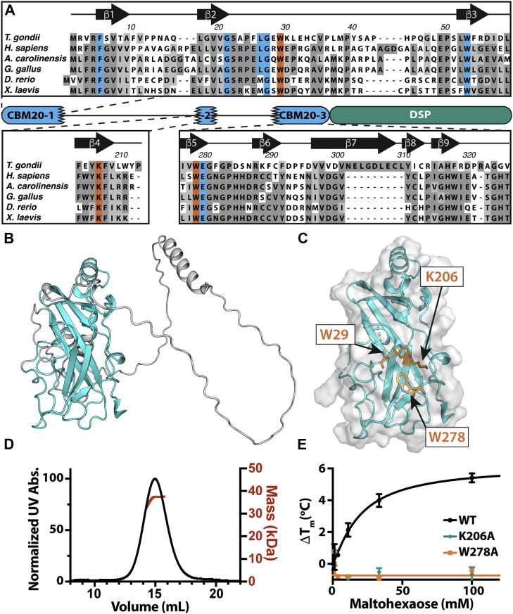 Figure 3