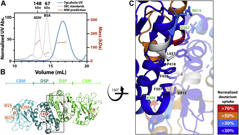 Figure 4