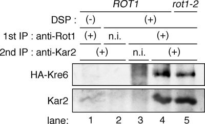 Figure 9.