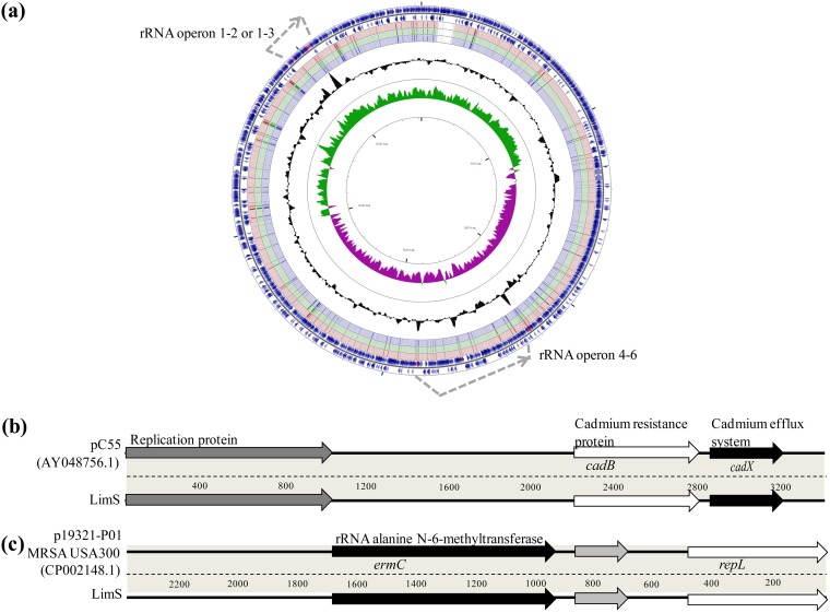 FIG 2