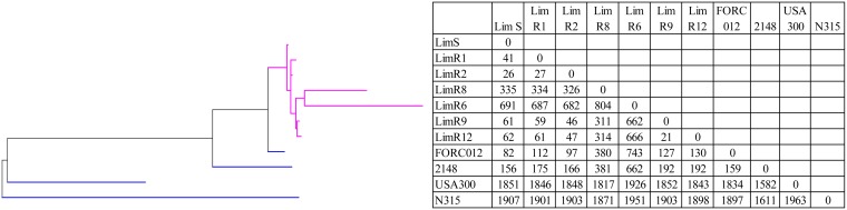 FIG 4