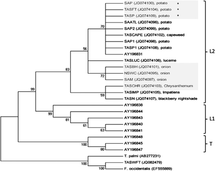 Figure 2