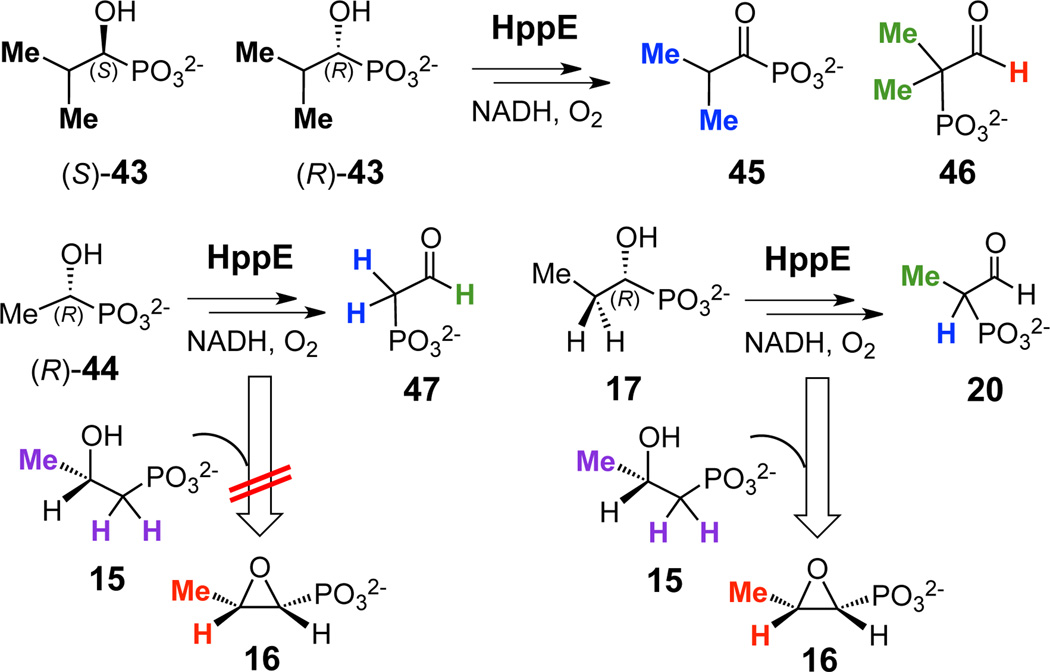 Scheme 5