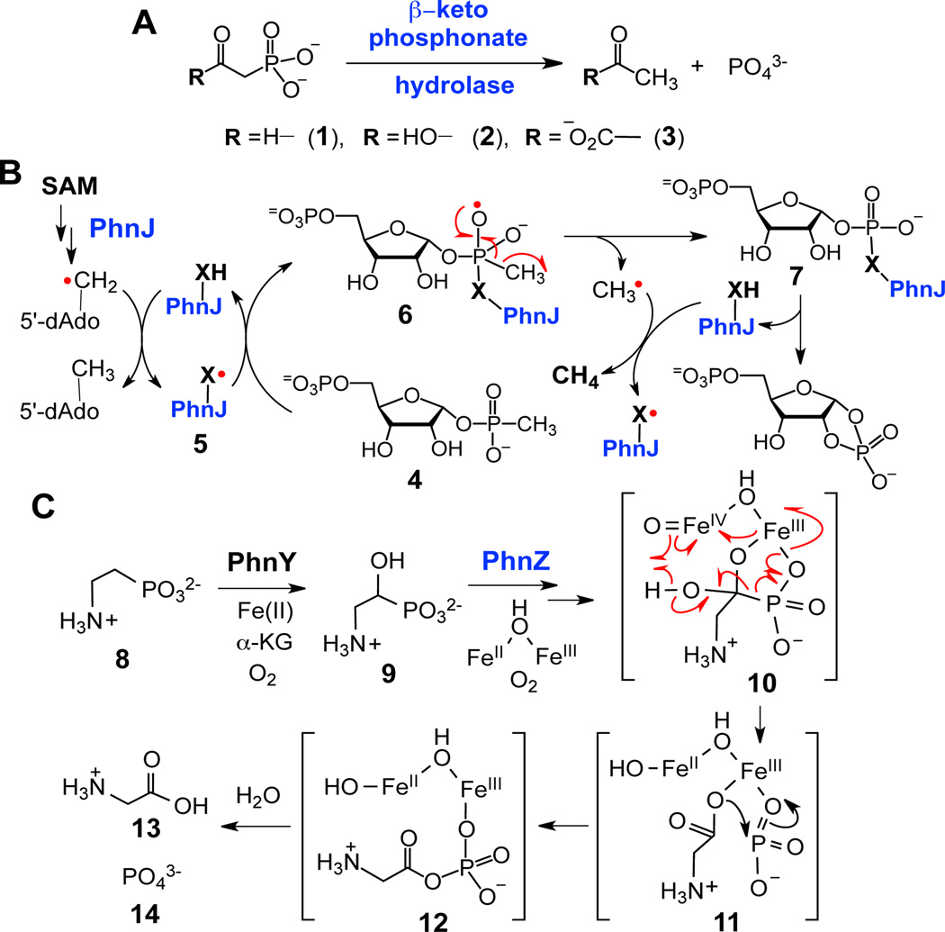 Scheme 1