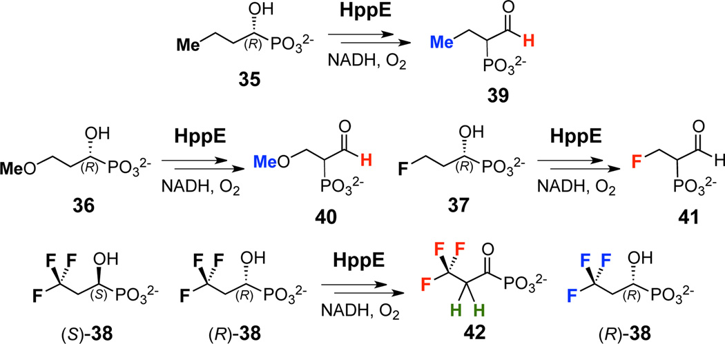 Scheme 4