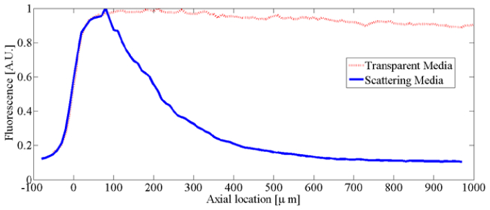 Fig. 9