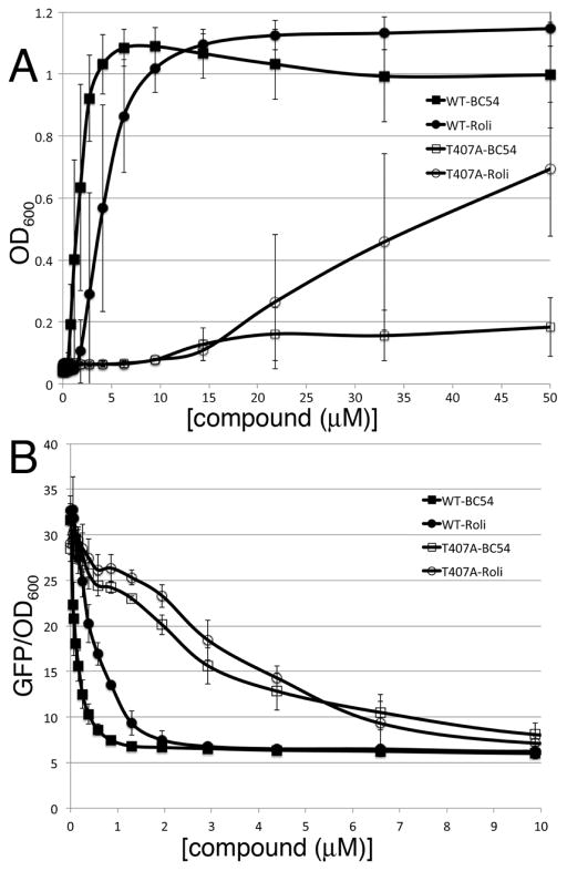 Fig. 5