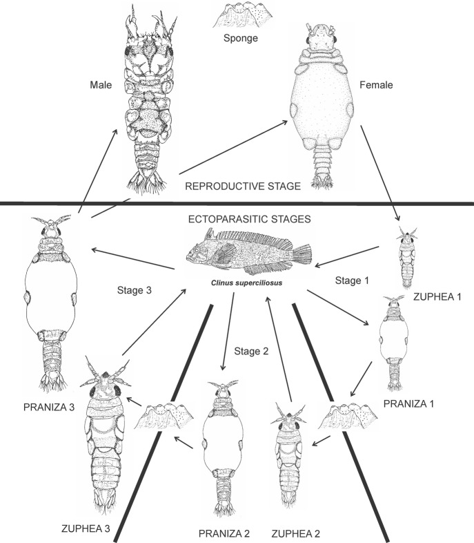 Fig. 5.12