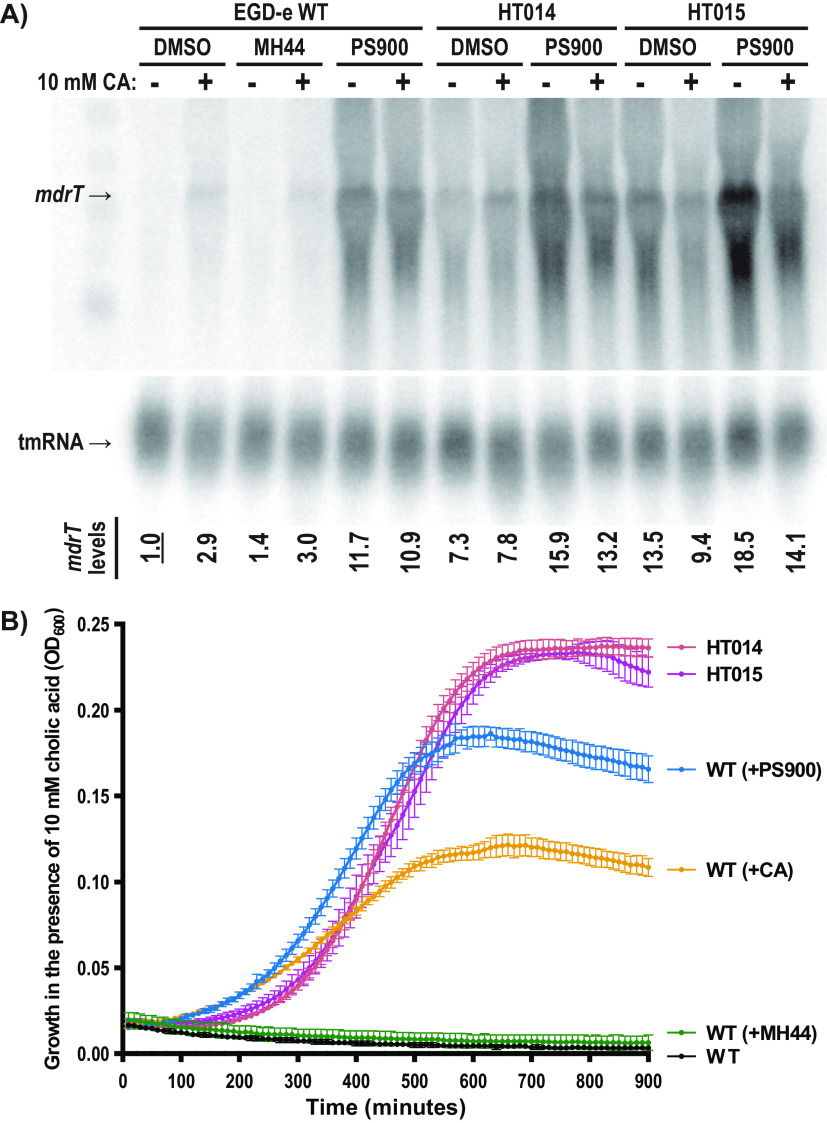 FIG 3