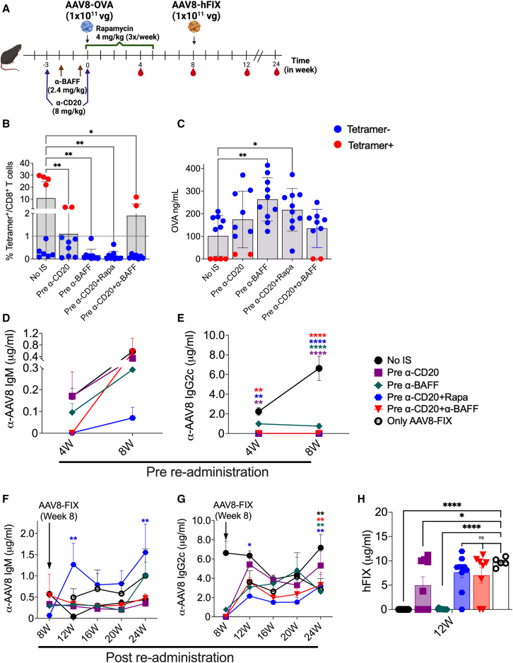 Figure 4