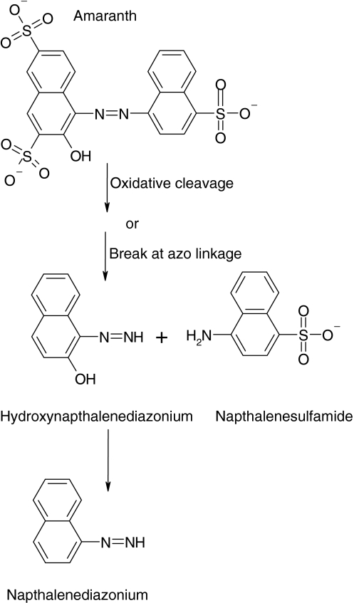 Fig. 6