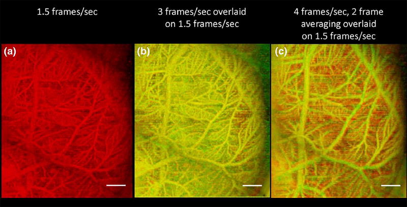 FIGURE 4