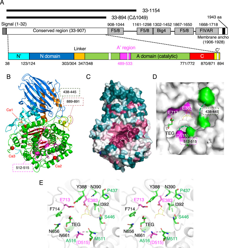 Fig 2