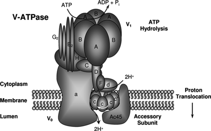 FIGURE 6.