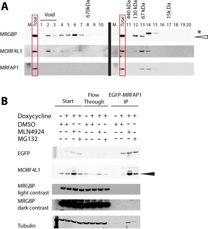 Fig. 9.